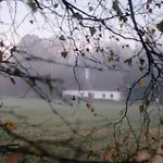 Pilnikarna * Krizanky