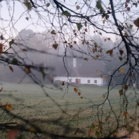 Pilnikarna * Ceske Krizanky